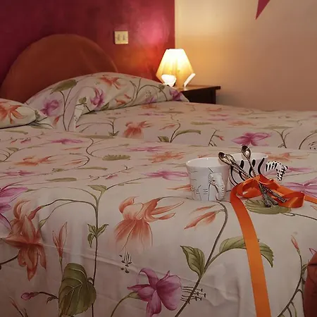 A Casa Di Marcella * 比萨